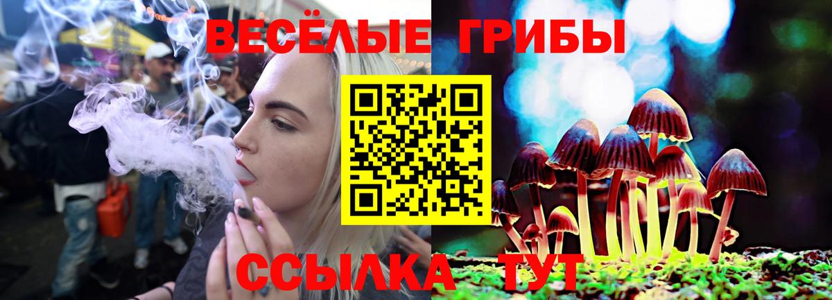Псилоцибиновые грибы MAGIC MUSHROOMS Чапаевск