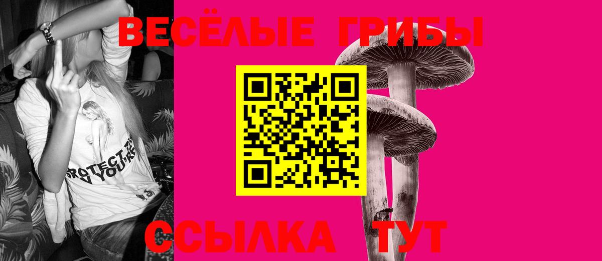 Псилоцибиновые грибы прущие грибы  Вход с VPN  Чапаевск 